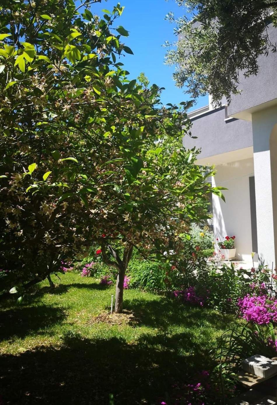 Apartmani Dianna Kaštela Buitenkant foto