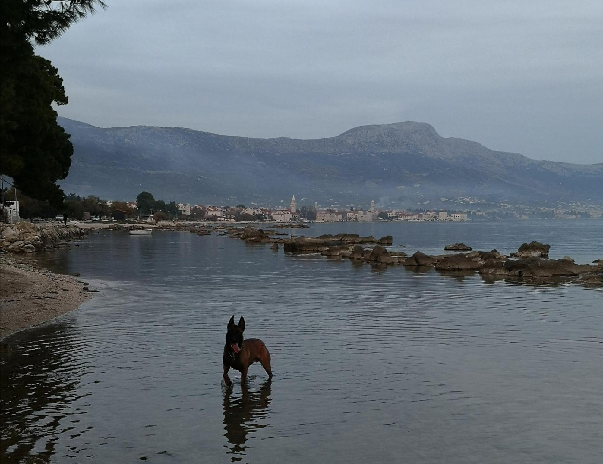 Apartmani Dianna Kaštela Buitenkant foto